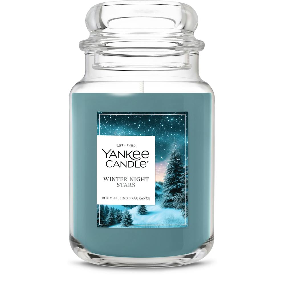 Winter Night Stars