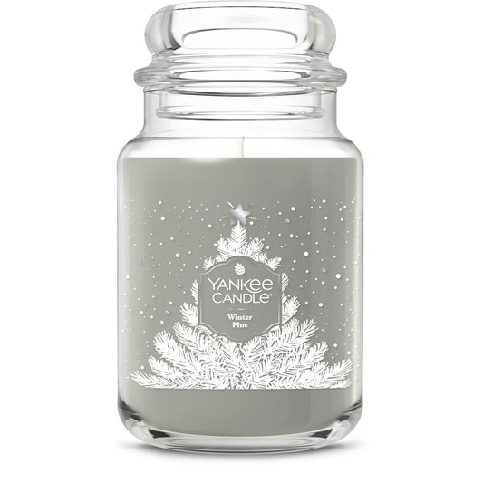 Winter Pine