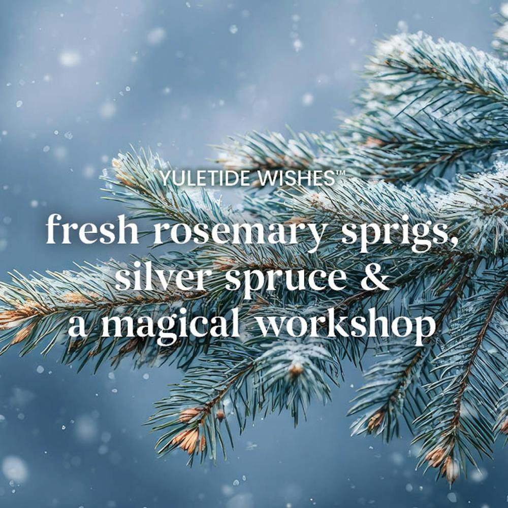 Yuletide Wishes