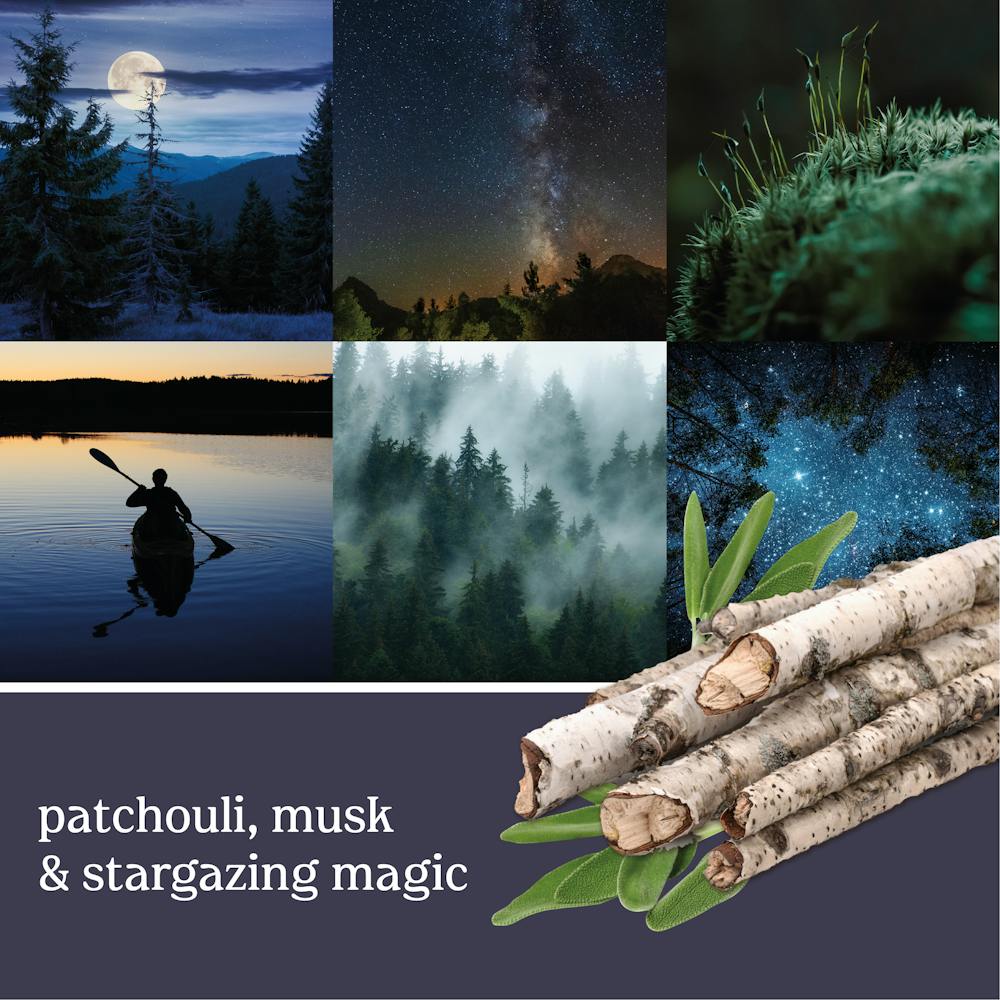 MidSummer's Night® Vent Clip Fragrance Kit