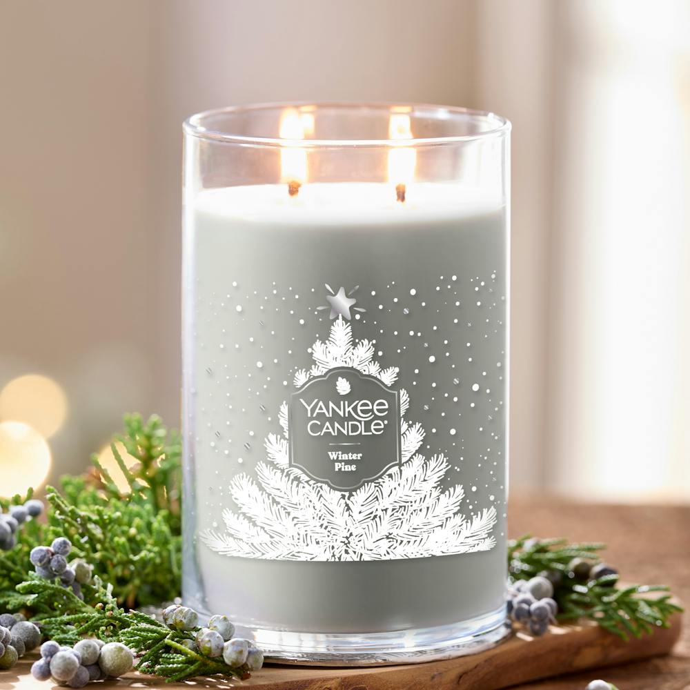 Winter Pine