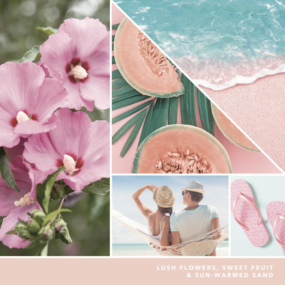 Pink Sands™ Vent Clip Fragrance Kit
