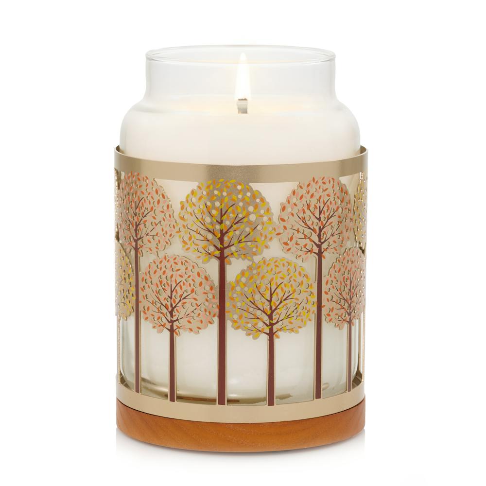 Fall Trees Metal Holder