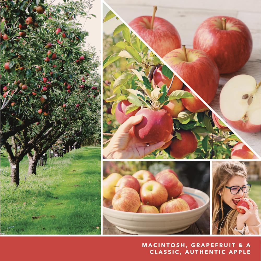 Macintosh