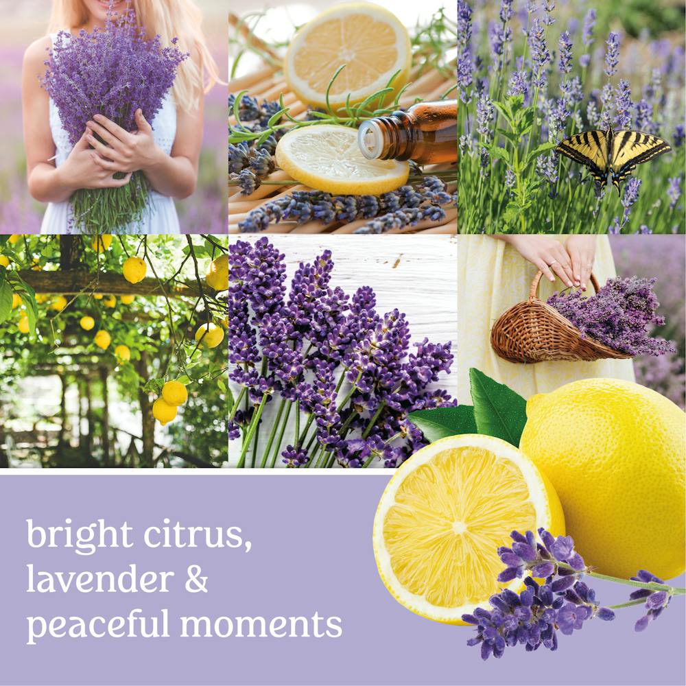 Lemon Lavender