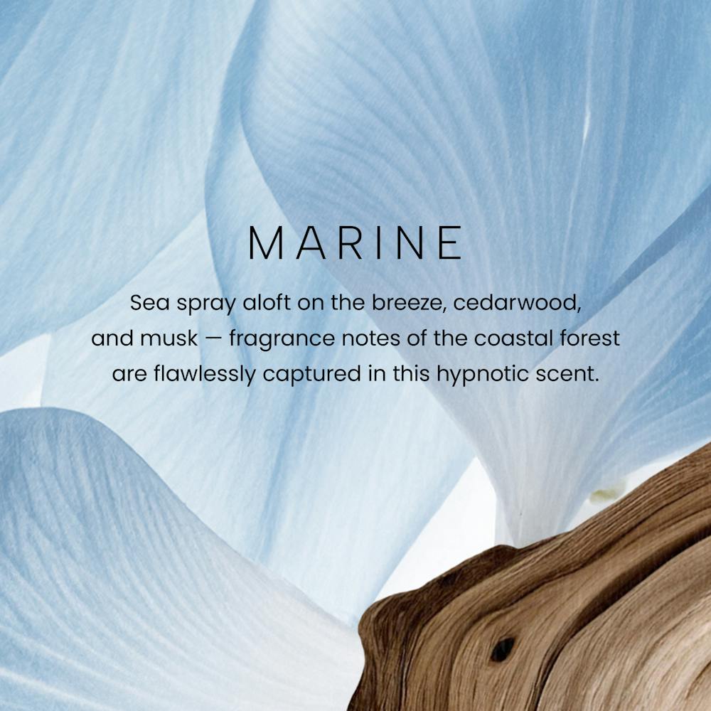 Marine